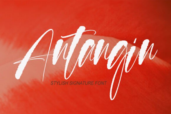 Antangin: A Bold Script Font for Digital Branding