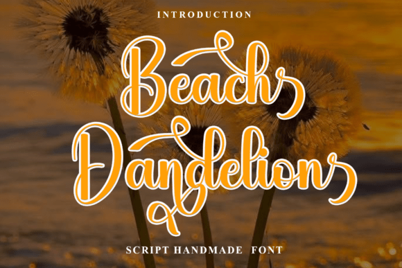 Beach Dandelion: A Festive Script for Holiday Branding